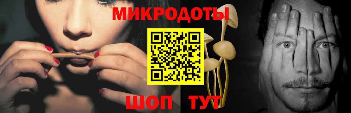 Псилоцибиновые грибы Psilocybine cubensis  Вход с VPN  Псилоцибиновые грибы Psilocybe  Трёхгорный 